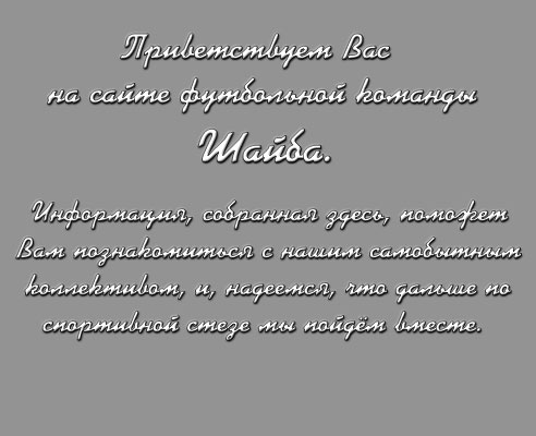 Приветствуем Вас на сайте футбольной команды 'Шайба'